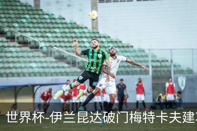 世界杯-伊兰昆达破门梅特卡夫建功 澳大利亚2-0土耳其
