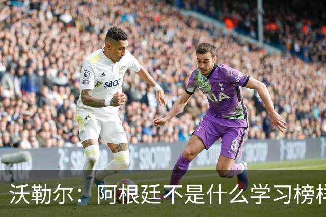 沃勒尔：阿根廷不是什么学习榜样，德国应该学西班牙和英格兰